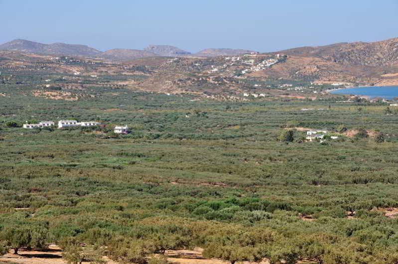 Hotel Marina Village سيتيا المظهر الخارجي الصورة